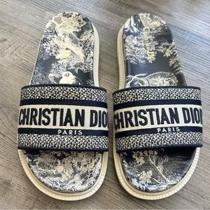 Dior Dway Toile De Jouy Slide